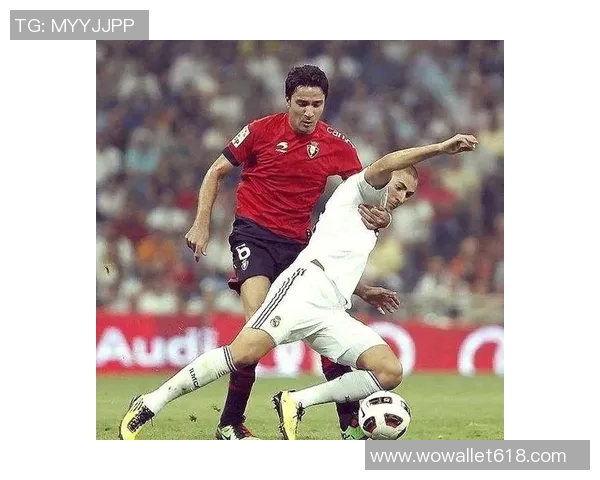 荷南队足球明星的辉煌历程与未来展望分析